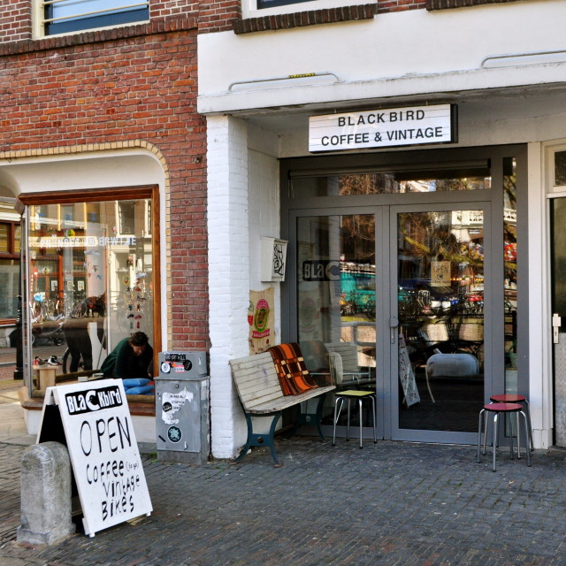 Blackbird Coffee Explore Utrecht 7