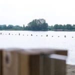 Zwemmen in Utrecht | 6x zwemmen in natuurwater