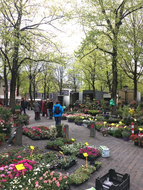 Explore Utrecht Bloemenmarkt 2