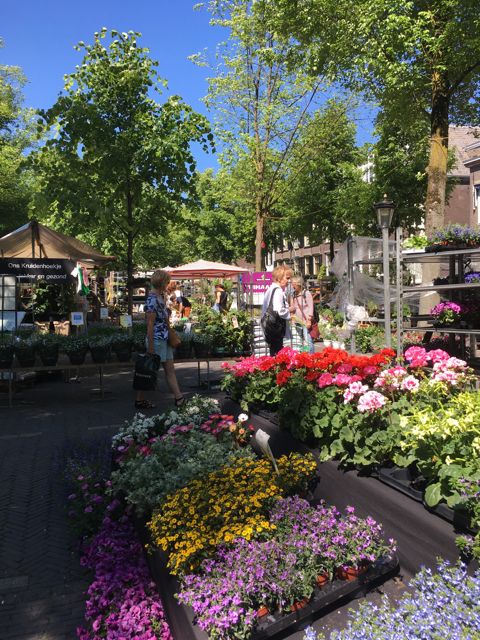 Explore Utrecht Bloemenmarkt 1