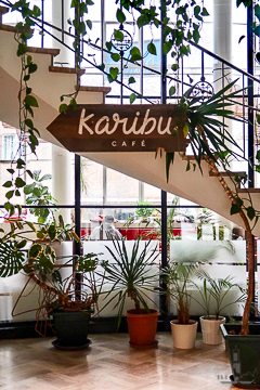 Cafe Karibu Explore Utrecht 1