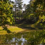 Herfstwandeling in Zeist | Heidestein en Bornia