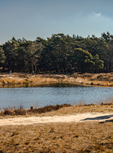 Zin in een natuurwandeling? Ontdek deze parels in regio Utrecht