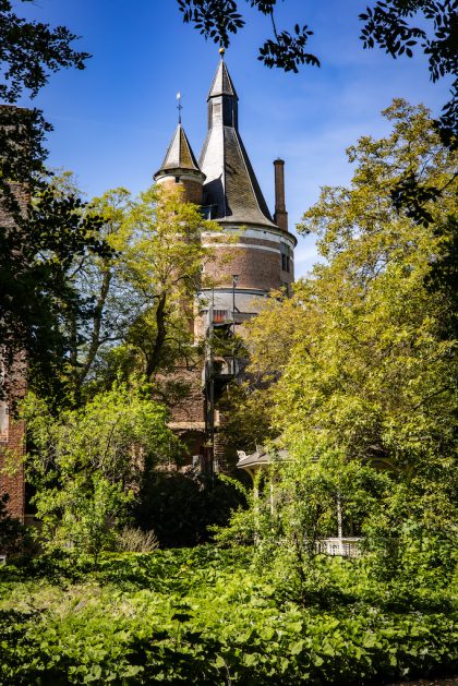 Natuurwandeling Regio Utrecht - Wijk bij Duurstede