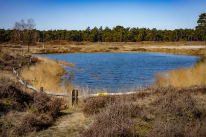 Natuurwandeling in regio Utrecht 1