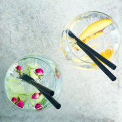 Gin & Tonic Het Gegeven Paard explore utrecht 2