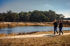 Natuurwandeling in regio Utrecht